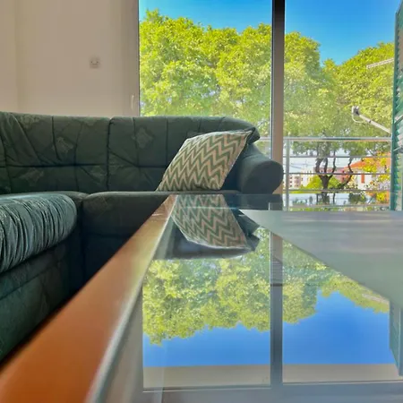 Lemon Tree Apartamento