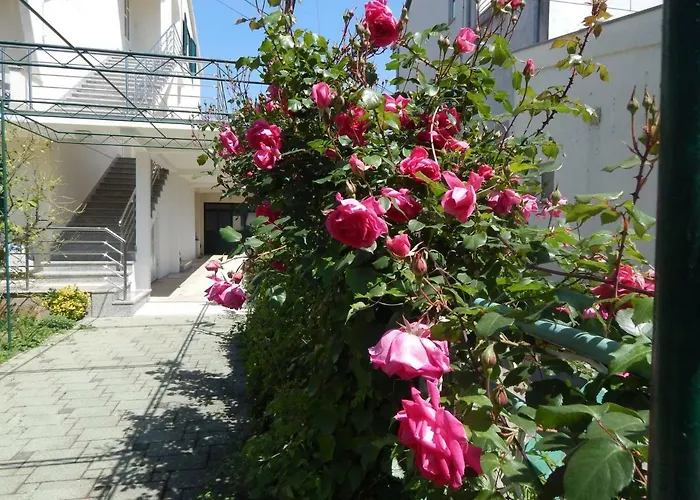 Lemon Tree Apartamento *