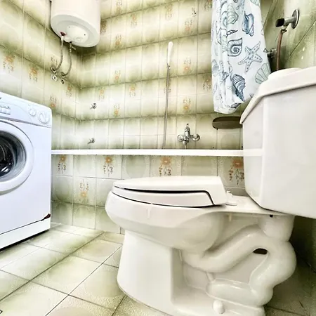 Apartment Lemon Tree