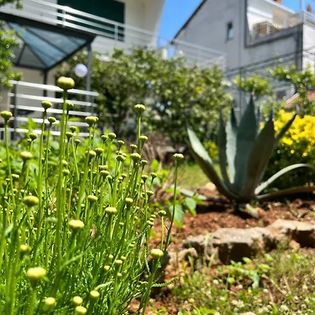 Appartement Lemon Tree *