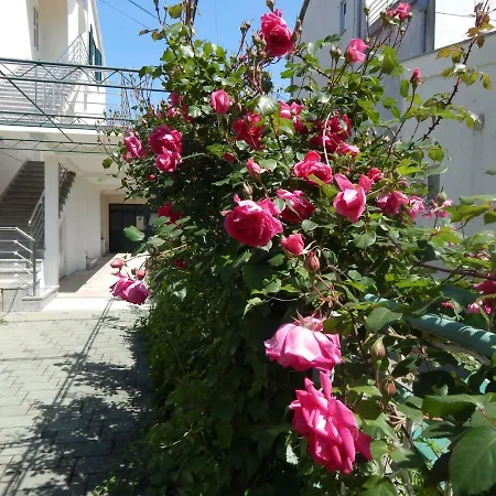 Lemon Tree Apartment *