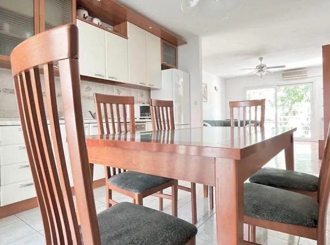 Lemon Tree 扎达尔