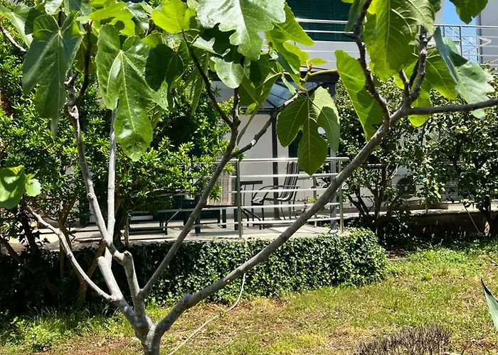 公寓 Lemon Tree 扎达尔