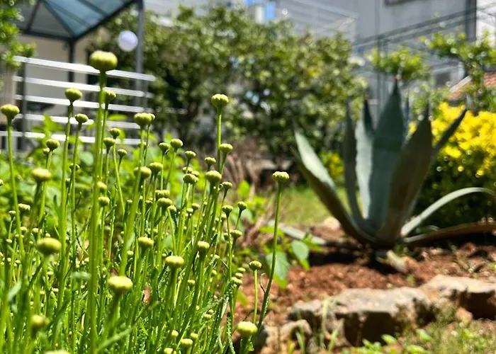 Lejlighed Lemon Tree *