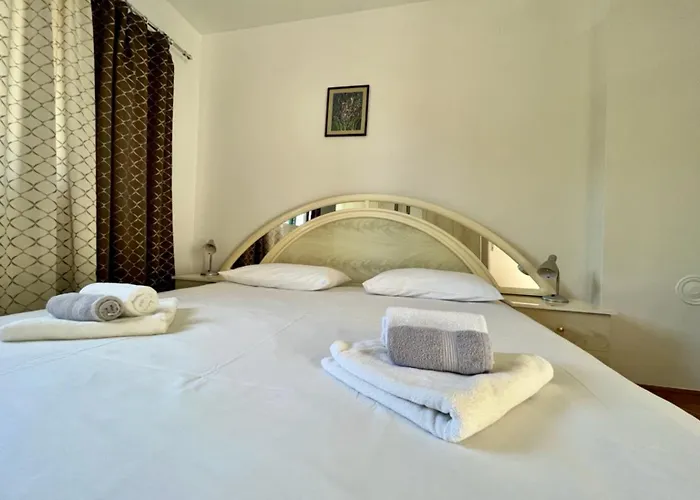 Lemon Tree ザダル